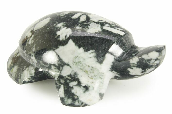 Carved Chinese Writing Rock Turtle - BC Canada #366978